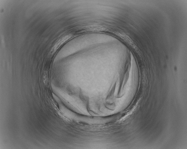 X0000061110889200512161411