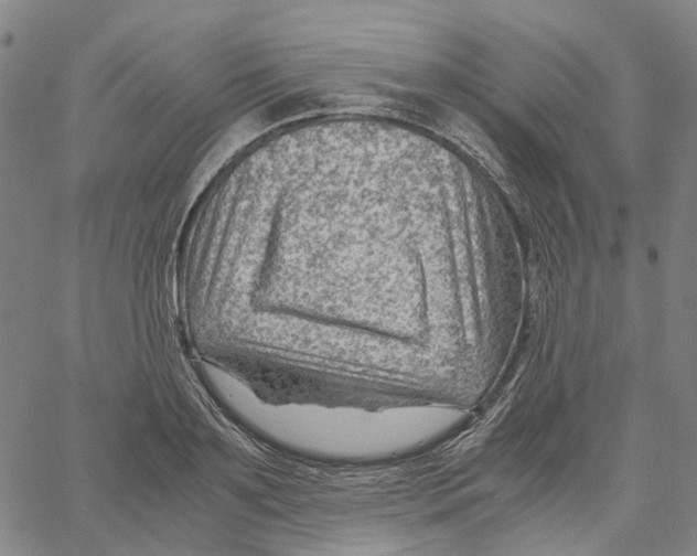 X0000061110891200512161411