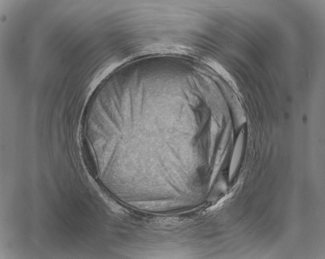 X0000061110893200512161410