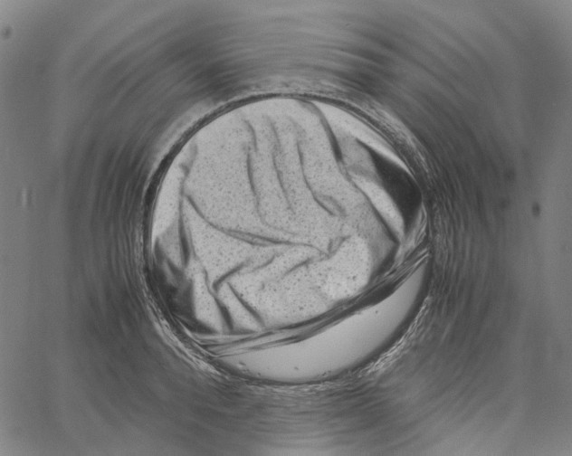 X0000061110896200512161410
