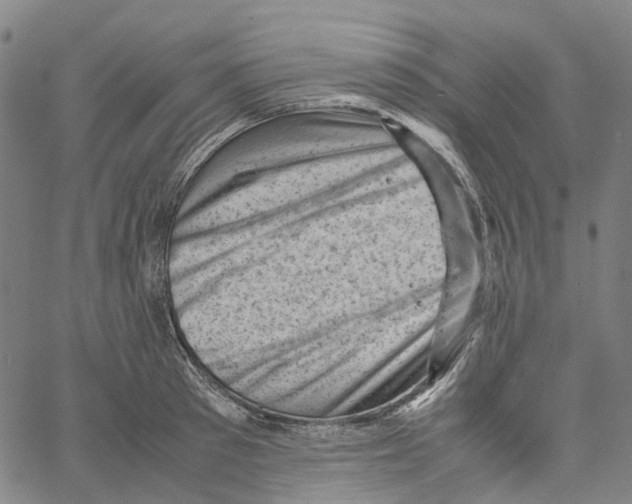 X0000061110897200512161410