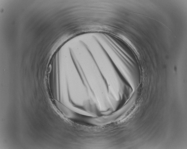 X0000061110901200512161410