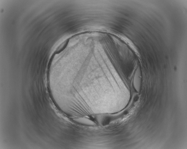 X0000061110904200512161410