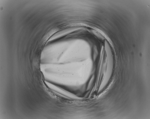 X0000061110905200512161410