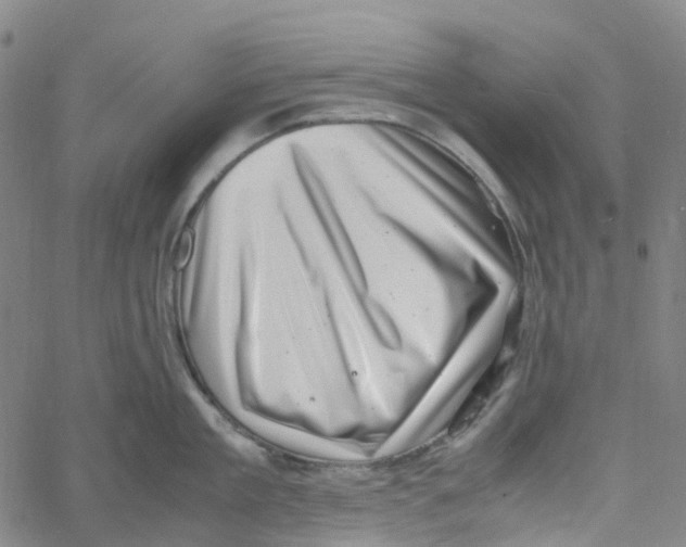X0000061110909200512161410