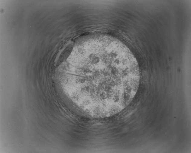 X0000061110913200512161409