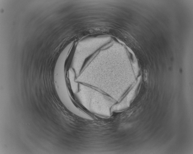 X0000061110915200512161409