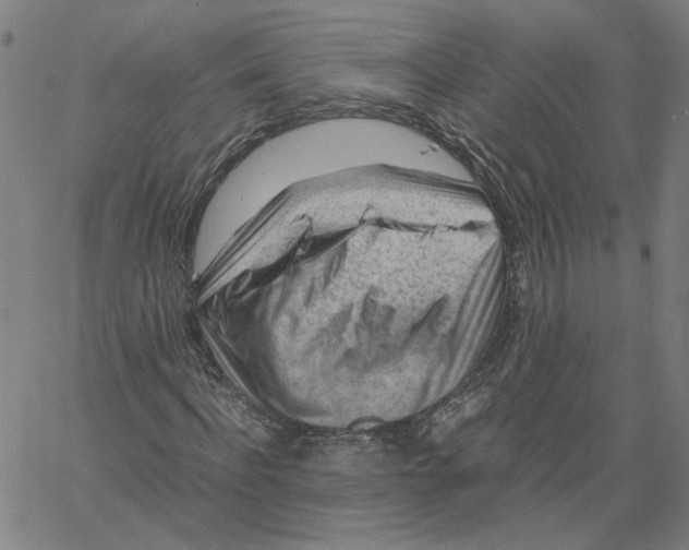 X0000061110916200512161409