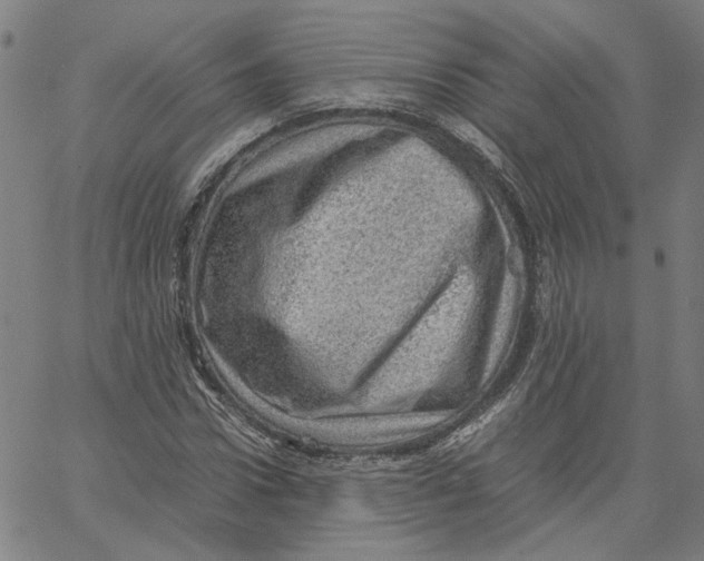 X0000061110922200512161410