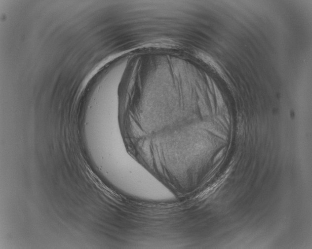 X0000061110923200512161410