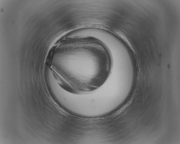 X0000061110924200512161410