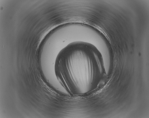 X0000061110926200512161410