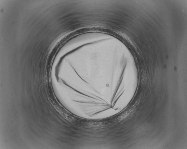 X0000061110927200512161410