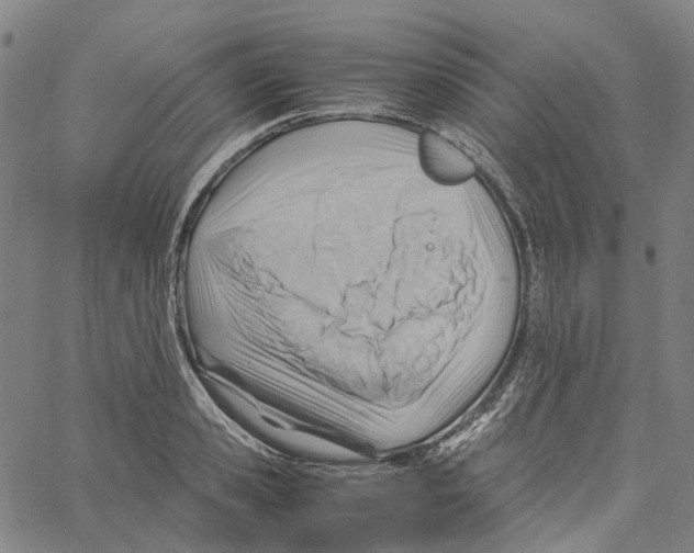 X0000061110941200512161410