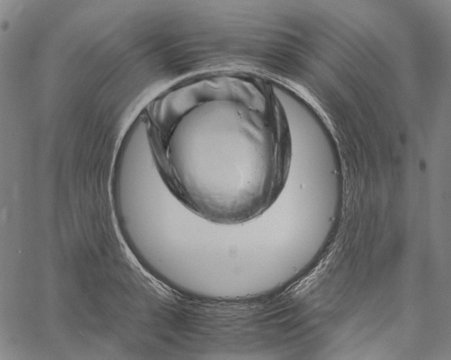 X0000061110943200512161410