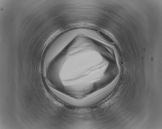 X0000061110946200512161410