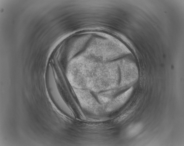 X0000061110951200512161410