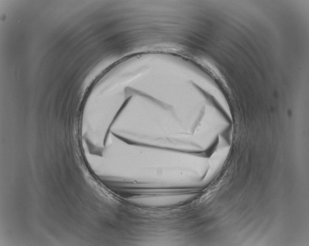 X0000061110952200512161410