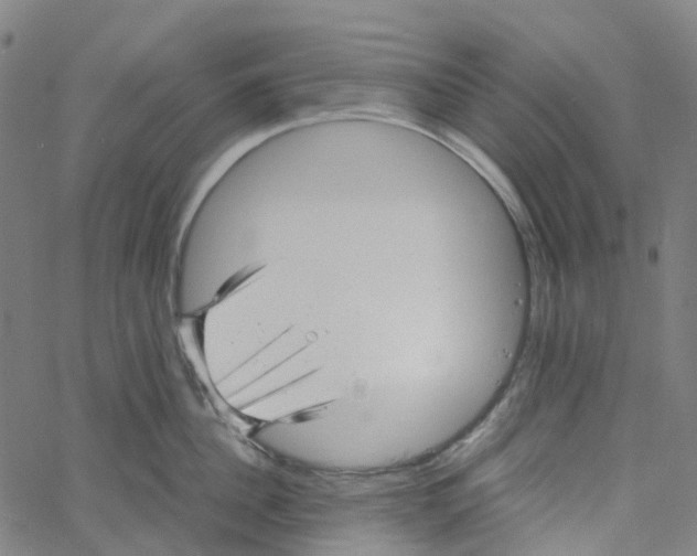 X0000061110956200512161410