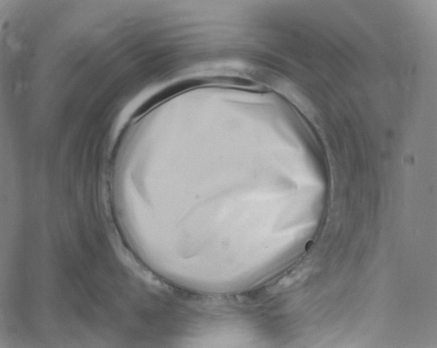 X0000061110960200512161410