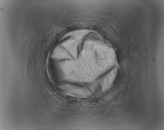 X0000061110961200512161409