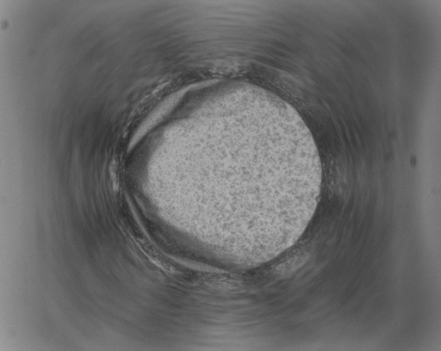 X0000061110962200512161409