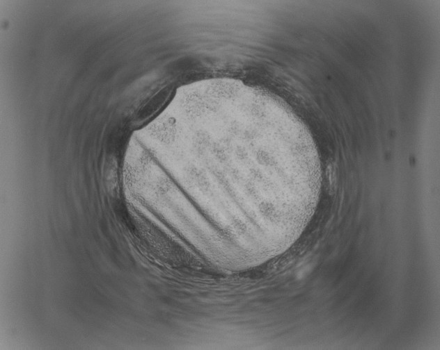 X0000061110963200512161409