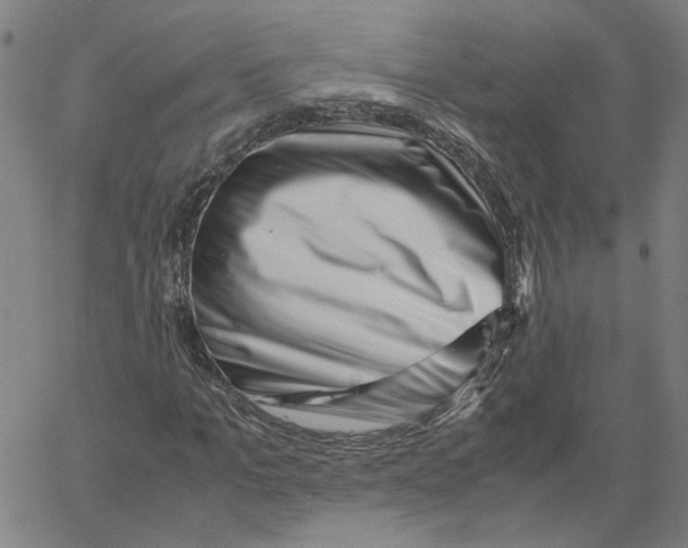 X0000061110965200512161409