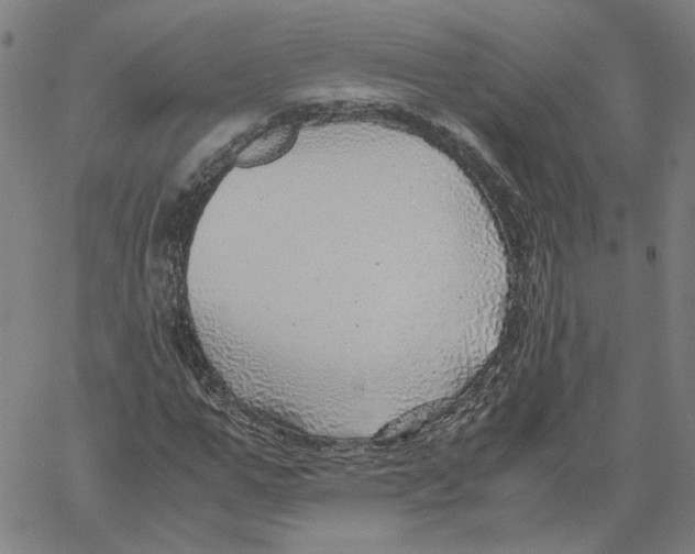 X0000061110967200512161409