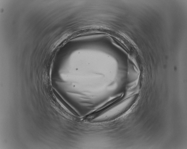 X0000061110969200512161409
