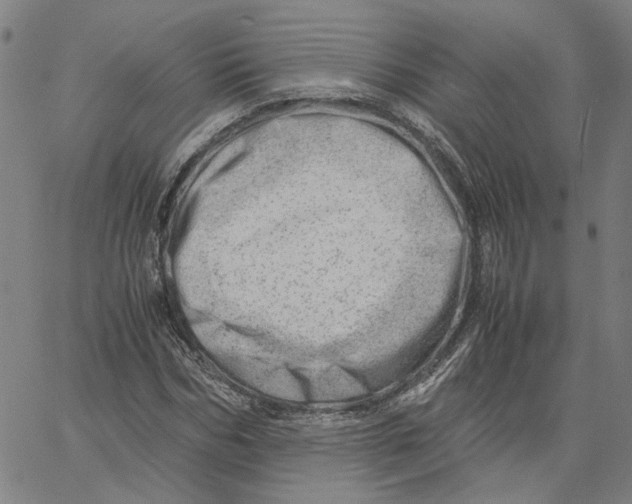 X0000061110970200512161409