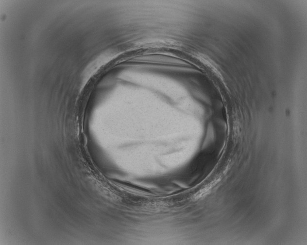 X0000061110973200512161409