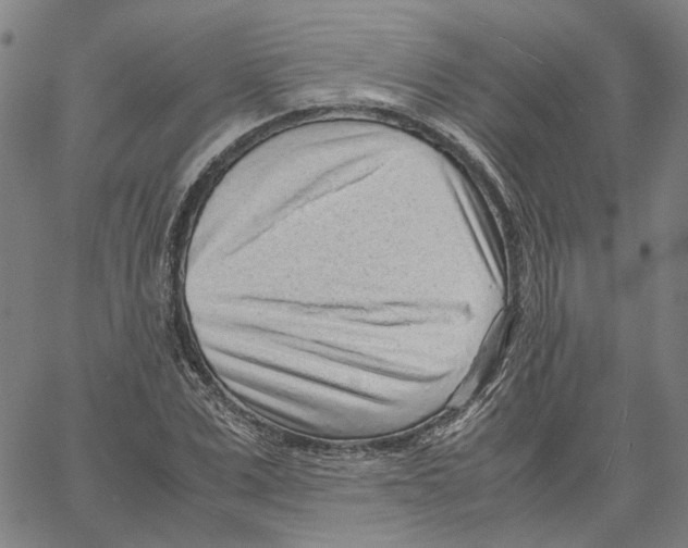 X0000061110975200512161409