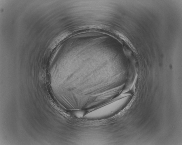 X0000061110977200512161409