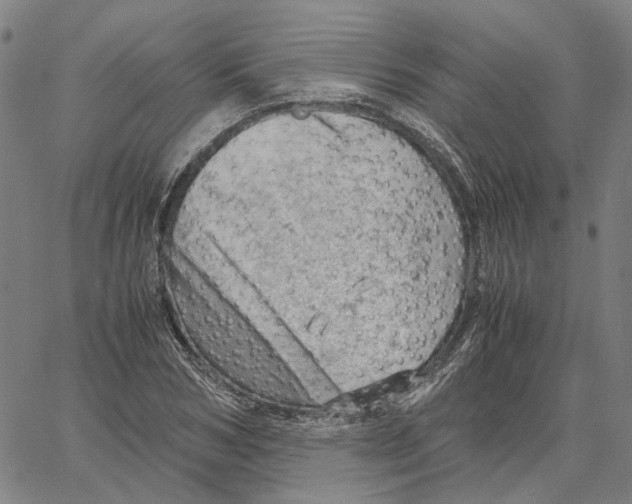 X0000061110978200512161409