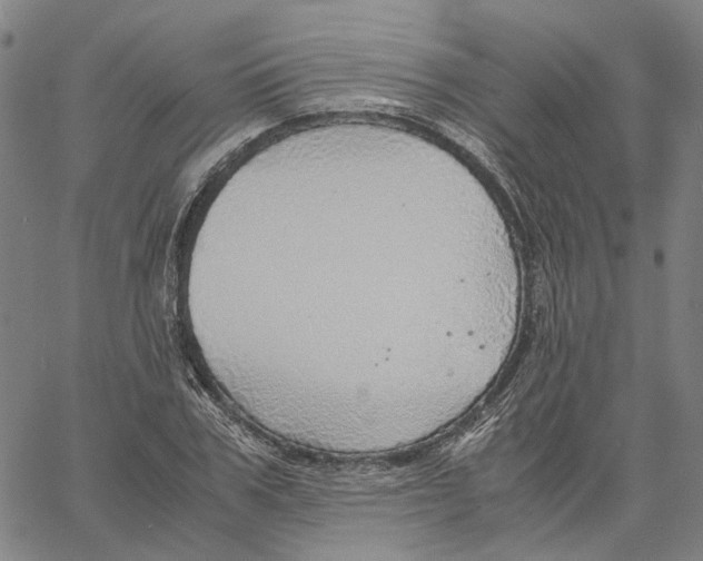 X0000061110979200512161409