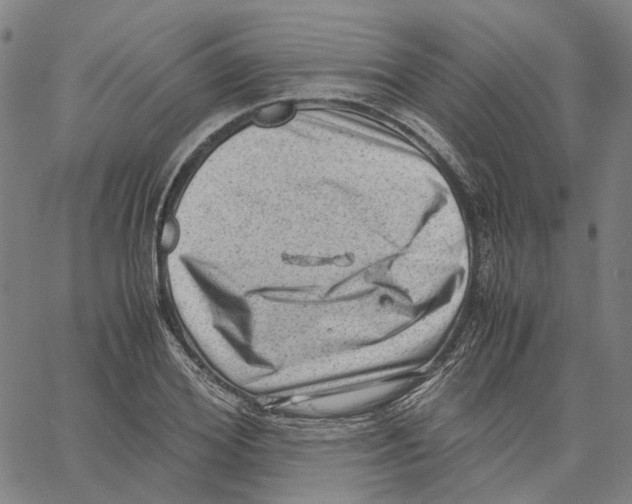 X0000061110980200512161409