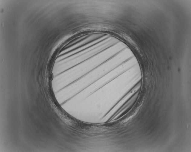 X0000061110981200512161409