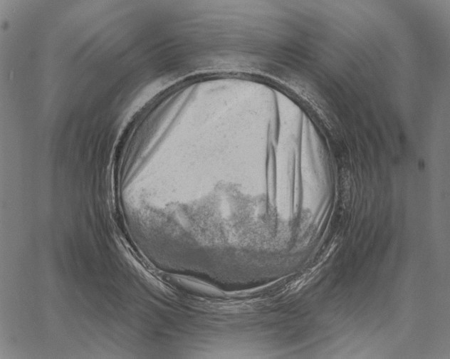 X0000061110982200512161409