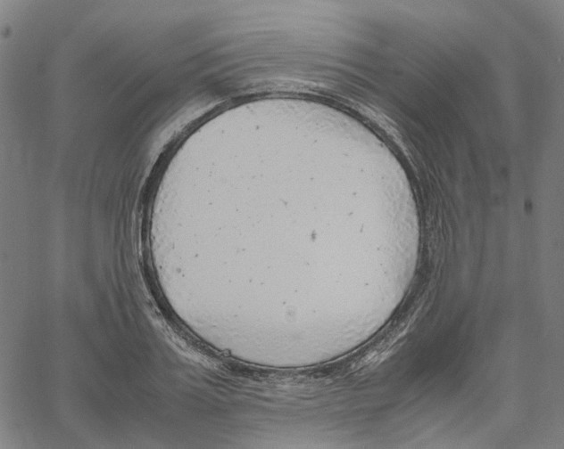 X0000061110987200512161409
