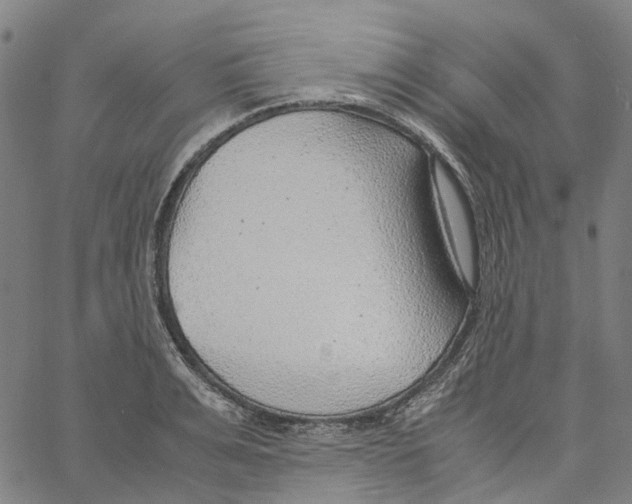 X0000061110991200512161409