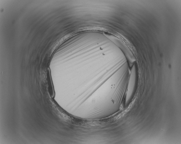 X0000061110993200512161409