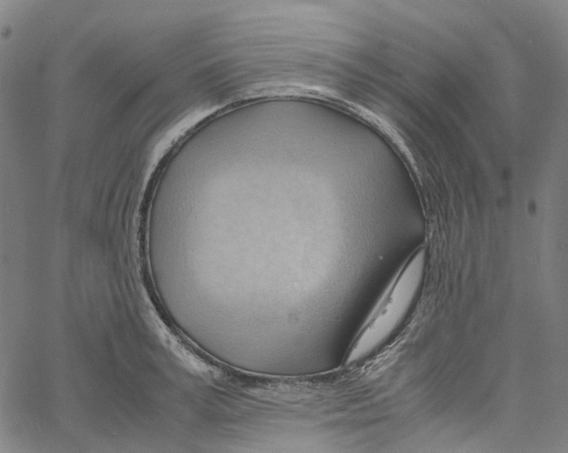 X0000061110995200512161409