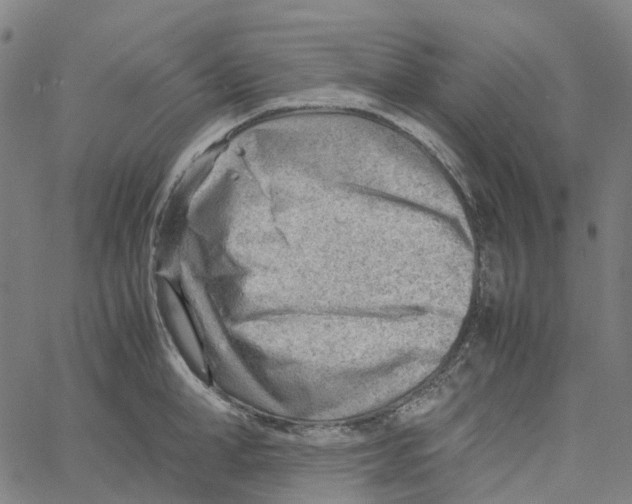 X0000061110998200512161409