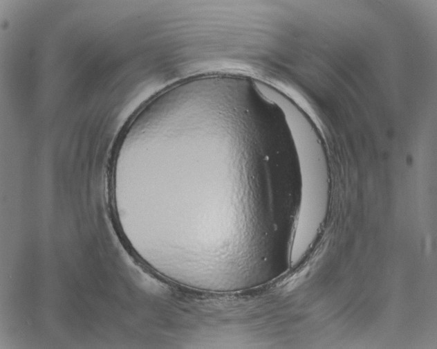 X0000061110999200512161409