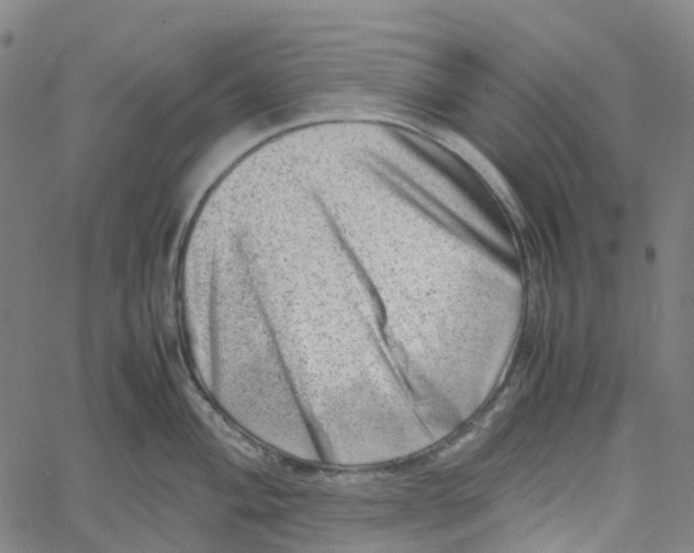 X0000061111004200512161409