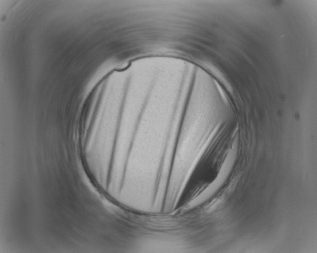 X0000061111007200512161409