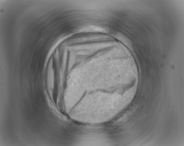 X0000061111008200512161409