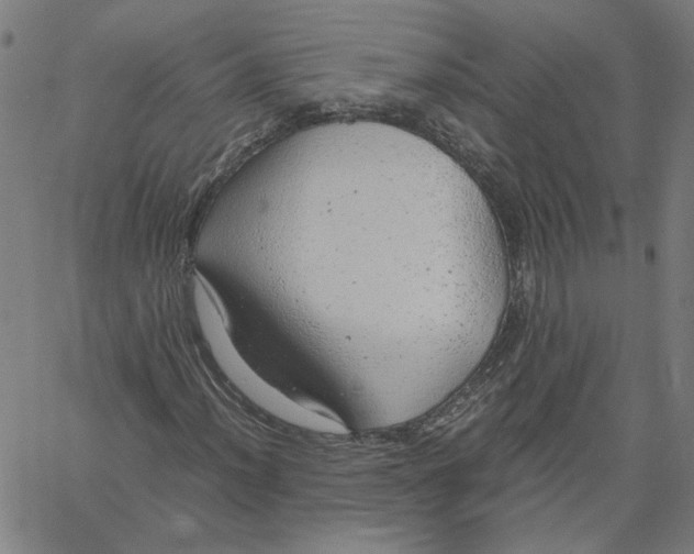 X0000061111012200512161408