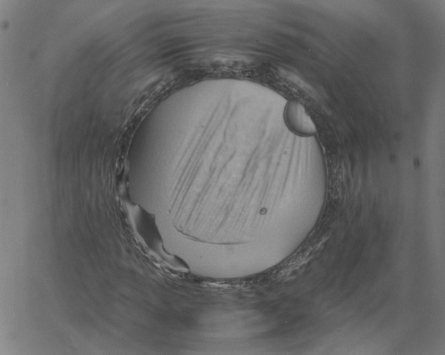 X0000061111013200512161408